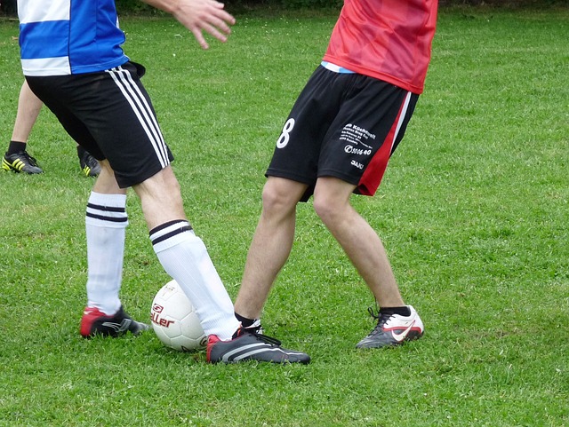 冰雪世界的 冰雪世界的