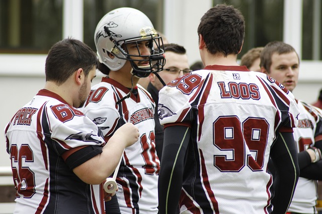 冬季两项的 冬季两项的