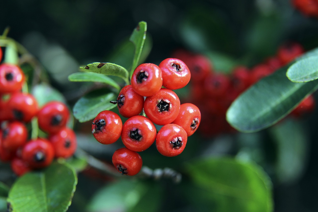 后顾之忧 后顾之忧