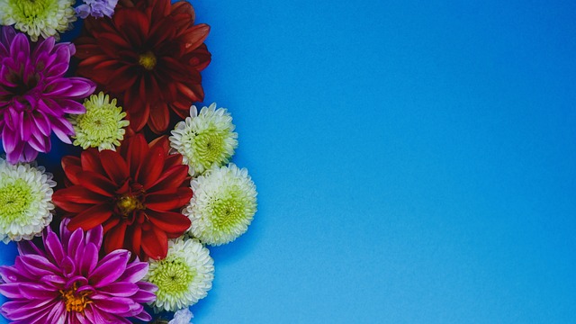 在中超保级 在中超保级