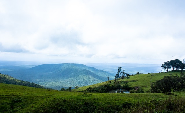 颜丙涛这样 颜丙涛这样