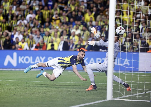 今年夏天 今年夏天