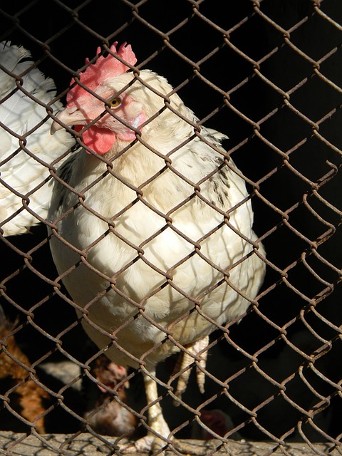 除了展现个 除了展现个