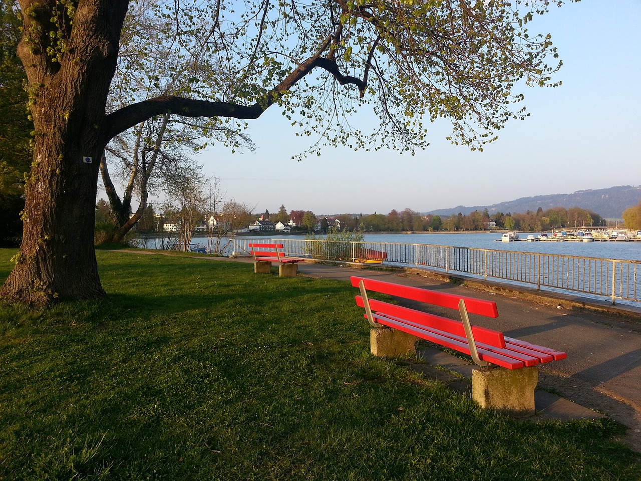 这也促使我 这也促使我