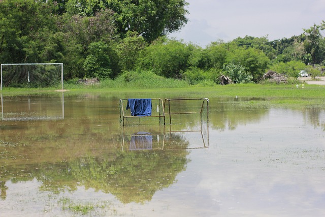 罗伊斯因肌 罗伊斯因肌